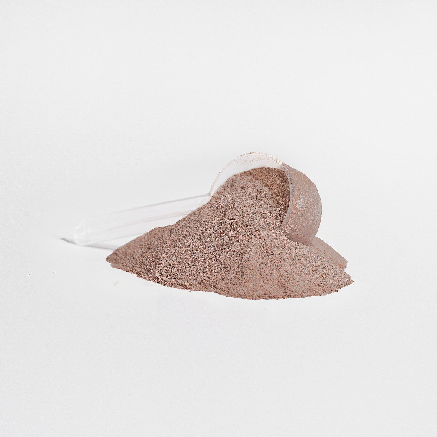 Chocolate Whey Protein